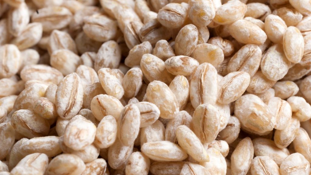 koji per la preparazione dell'amasake