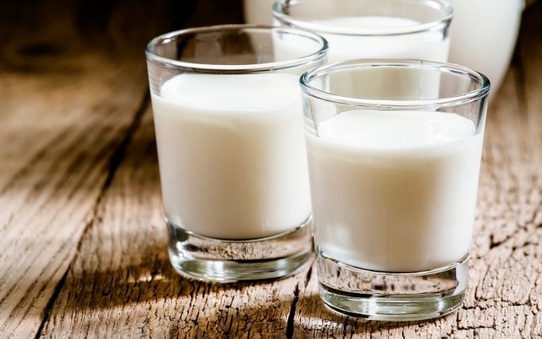 Latte di Pecora per Preparazione Joddu