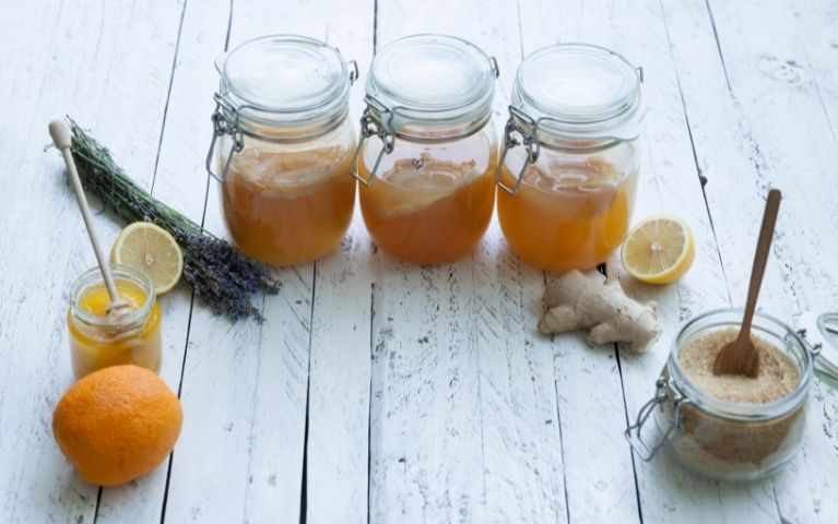 Conservazione Kombucha
