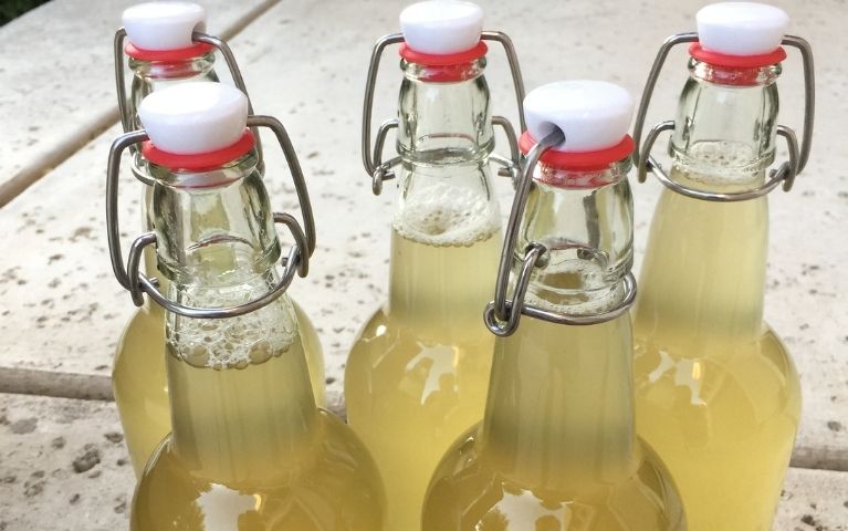 Bottiglie per il Kombucha