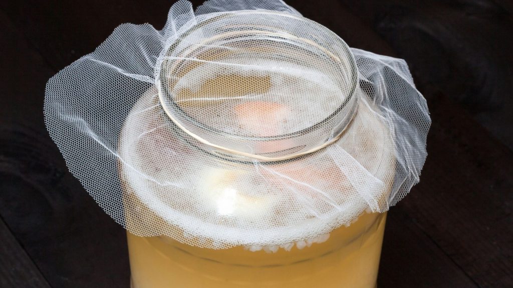 barattolo con preparazione di kefir d'acqua