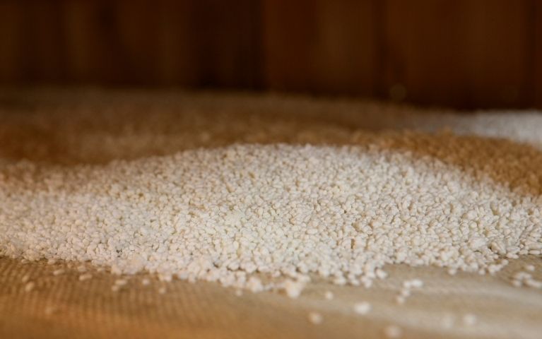 Produzione del Koji