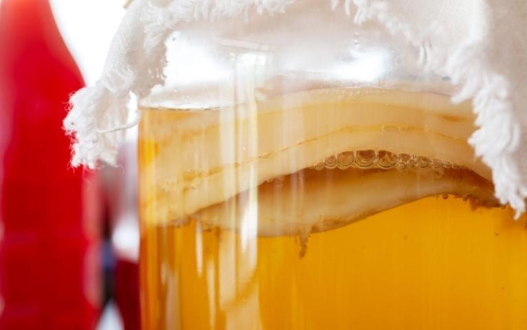 Scoby Hotel