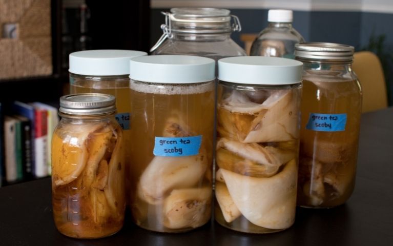 Scoby Hotel con chiusura ermetica