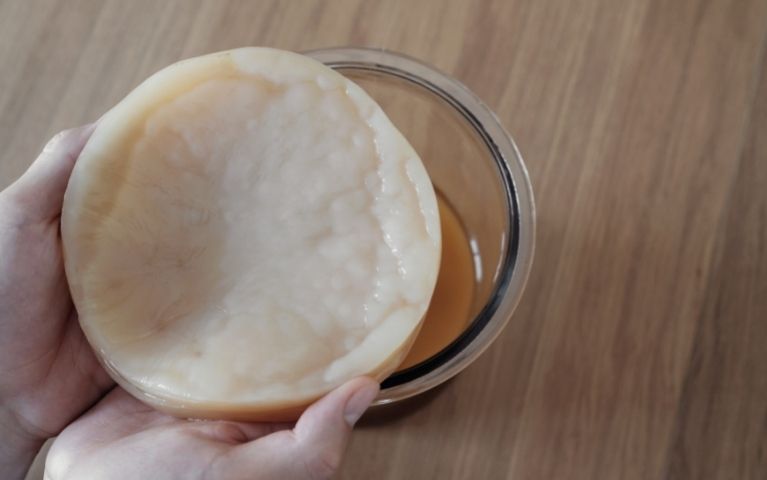 Scoby dentro il suo Hotel