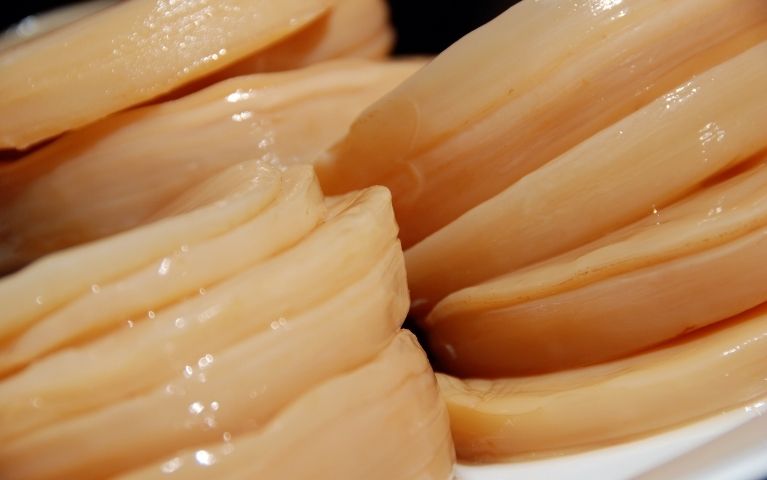 Produzione continua di Kombucha