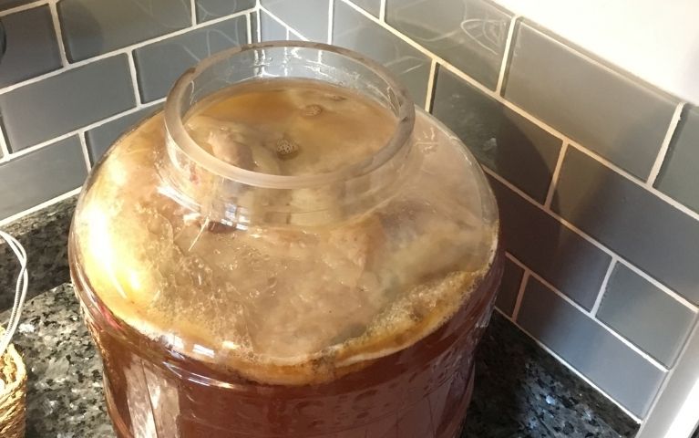 Kombucha a Fermentazione Continua