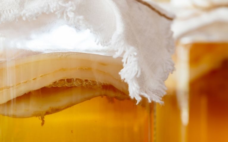 Kombucha a Infusione Continua