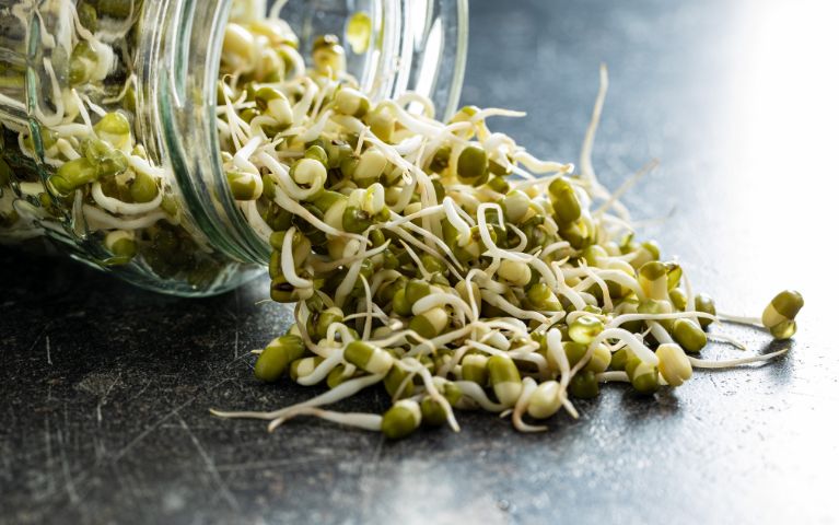 Germogli di cereali freschi versati da un barattolo di vetro, ingredienti essenziali per preparare il Rejuvelac