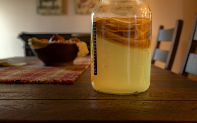 Scoby in superficie