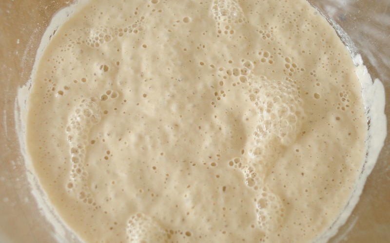 fermentazione lievito madre per pane