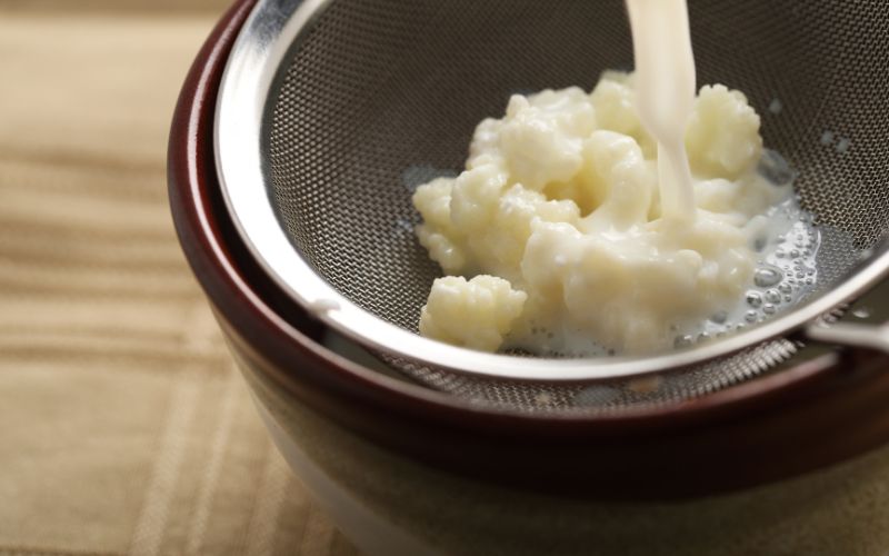 granuli di kefir 