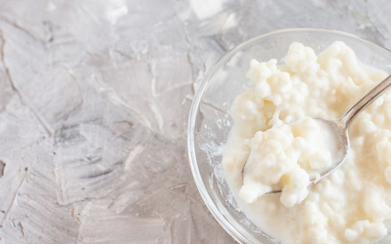 grani di kefir o kefiran