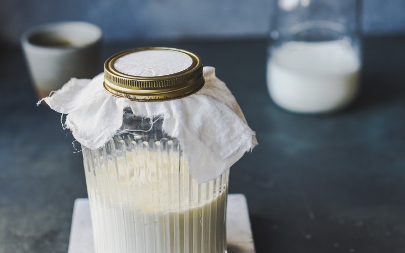 latte fermentato da batteri kefir