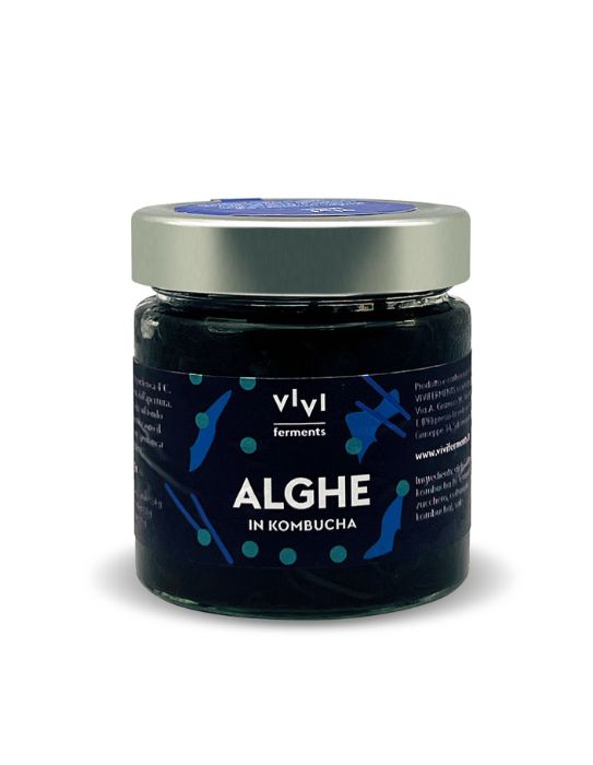 Alghe Fermentate in Kombucha BIO (80 gr) - Vivi Ferments