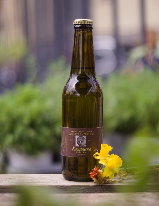 Kombucha al Kaffir Lime (33 cl) - FruiLab
