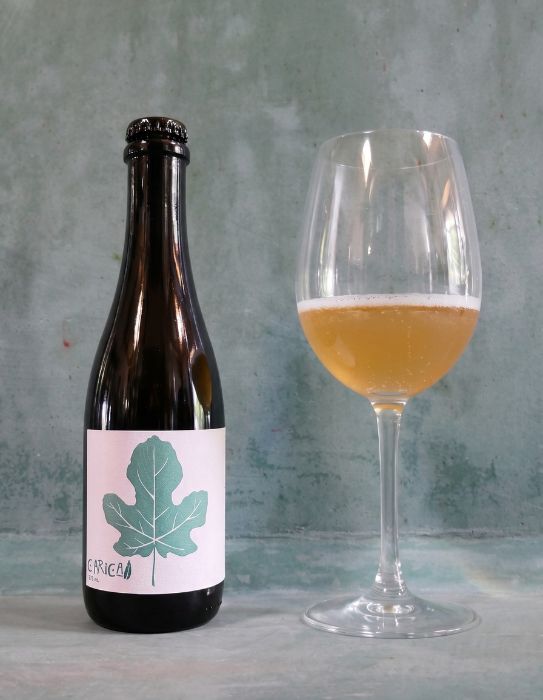 [Limited Edition] Carica - Kombucha con Foglie di Fico e Tè Affumicato del Malawi (375ml) - SelvaticaLab