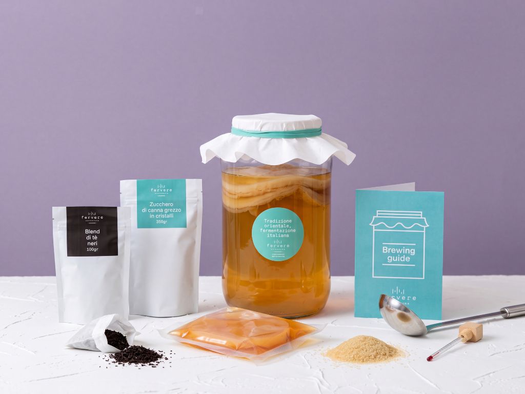 Kit Kombucha e SCOBY