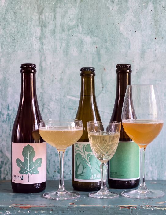 [LIMITED EDITION] Box "Rotta Selvatica" - 3 Kombucha Premium (6/12 bott da 37,5cl) - SelvaticaLab
